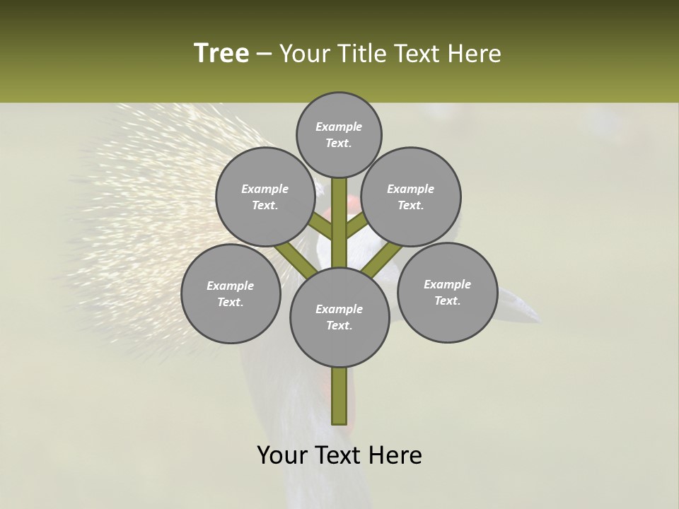 African Male Beak PowerPoint Template