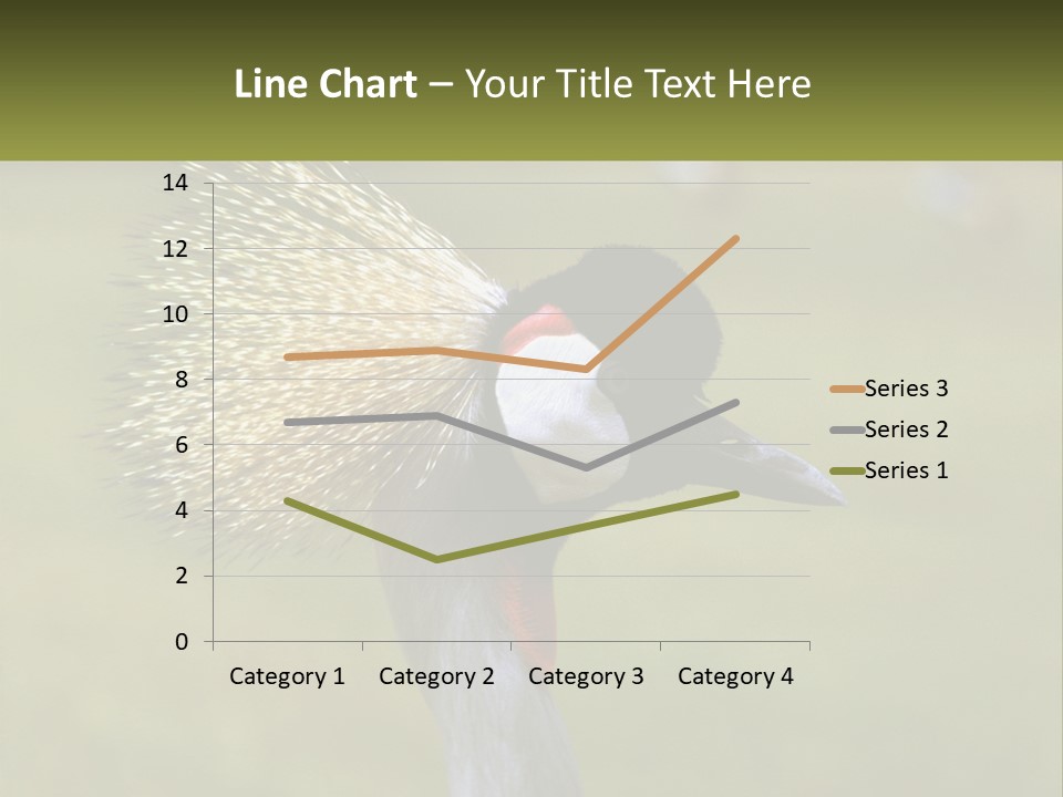 African Male Beak PowerPoint Template