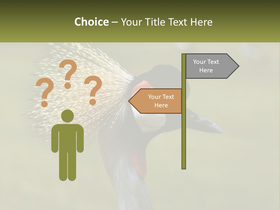 African Male Beak PowerPoint Template