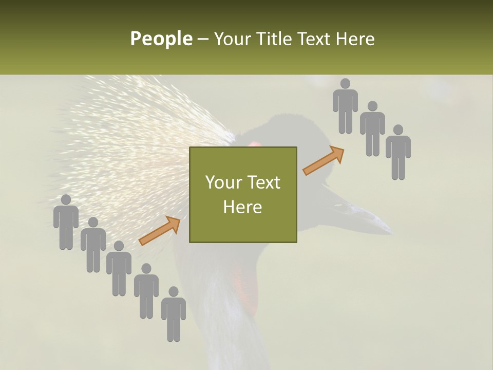 African Male Beak PowerPoint Template