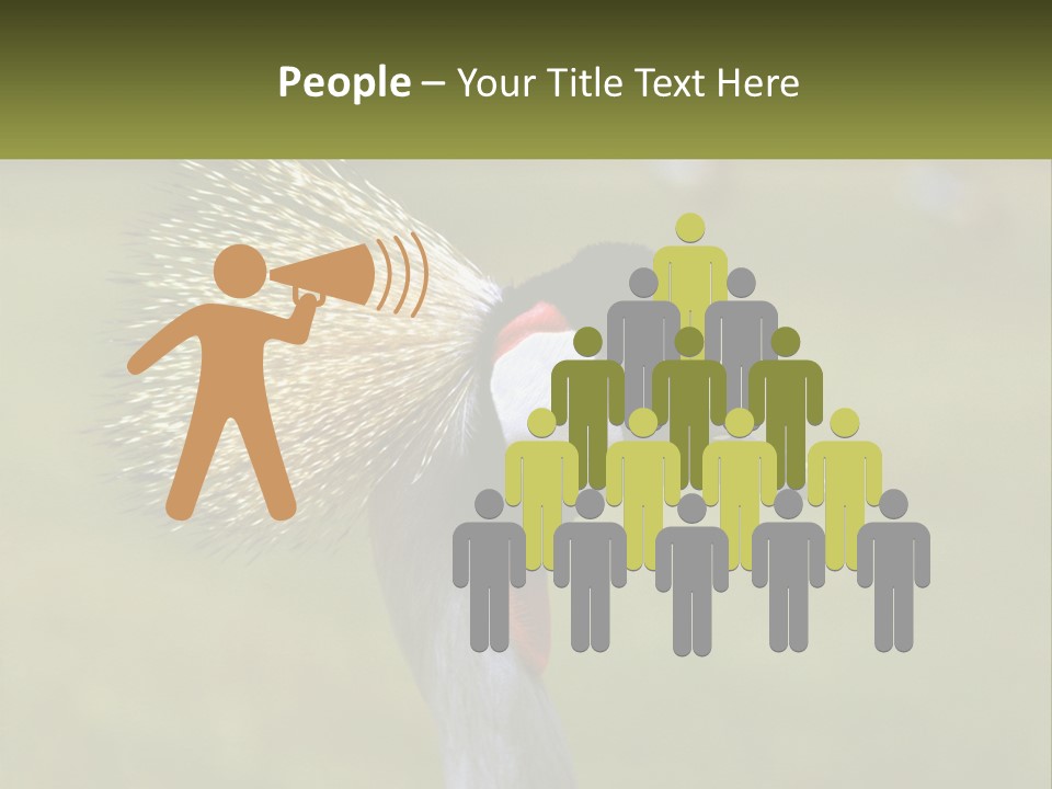 African Male Beak PowerPoint Template