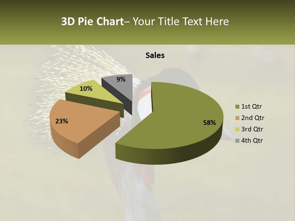 African Male Beak PowerPoint Template