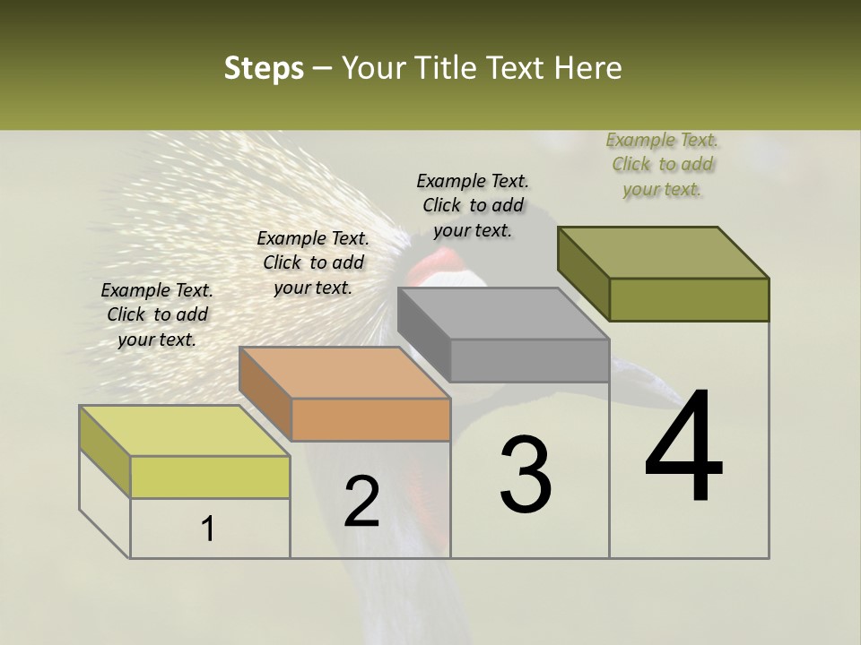 African Male Beak PowerPoint Template