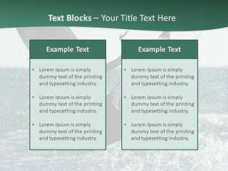 Windsurfer Surf Mediterranean PowerPoint Template