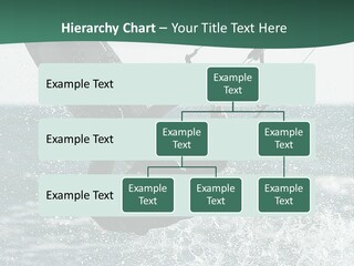 Windsurfer Surf Mediterranean PowerPoint Template