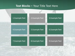 Windsurfer Surf Mediterranean PowerPoint Template