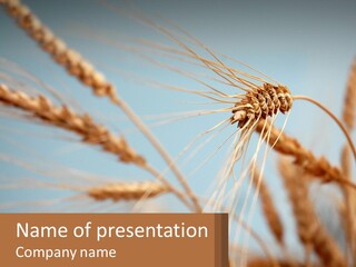 Farming Natural Clouds PowerPoint Template