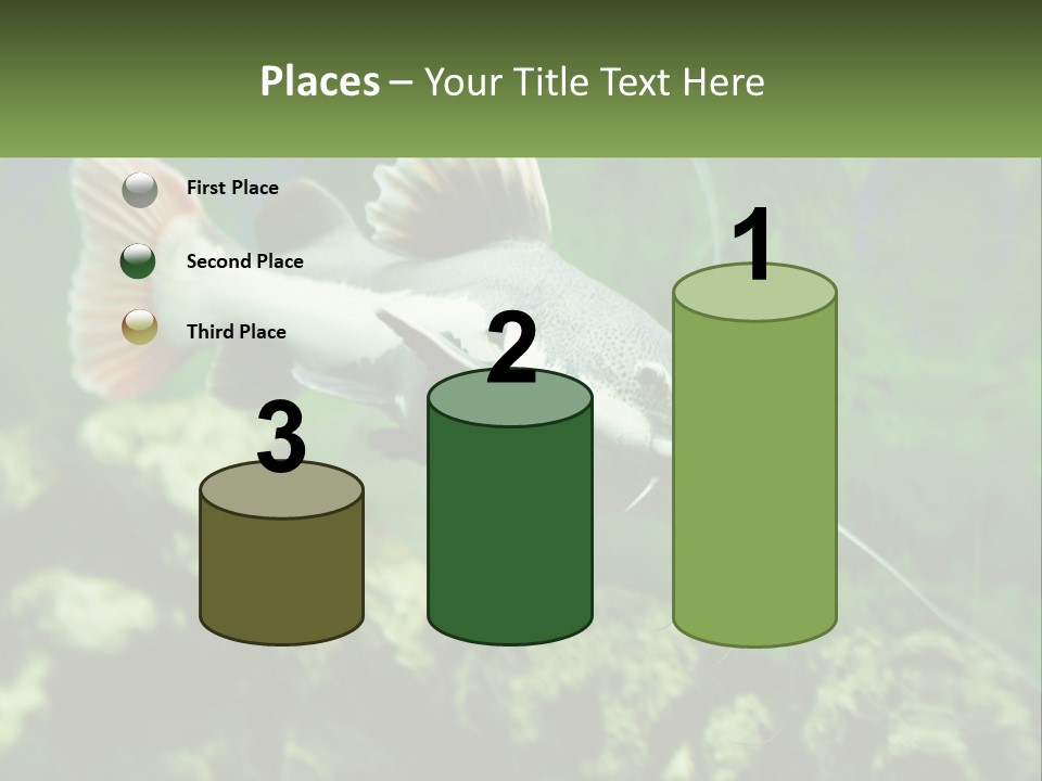 Phractocephalus Sheatfish Red PowerPoint Template