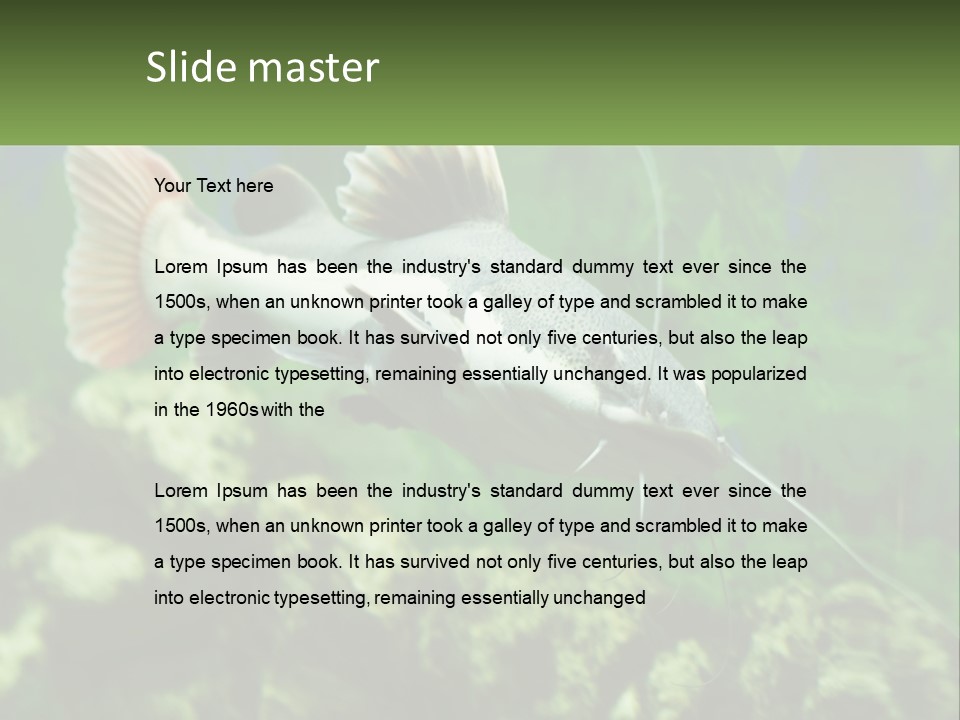 Phractocephalus Sheatfish Red PowerPoint Template