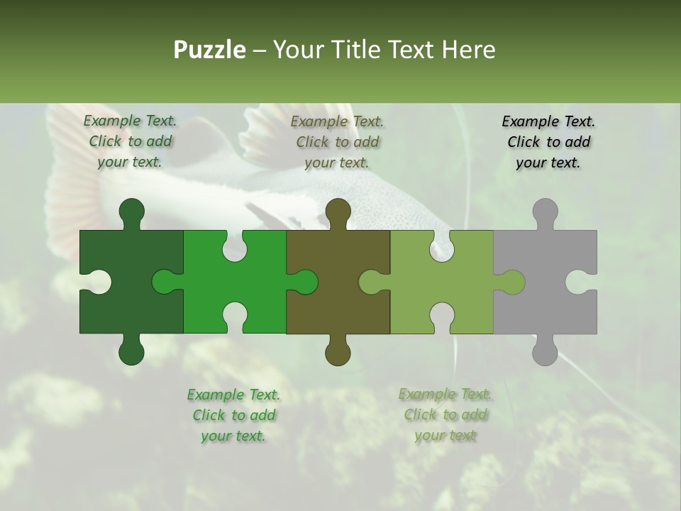 Phractocephalus Sheatfish Red PowerPoint Template