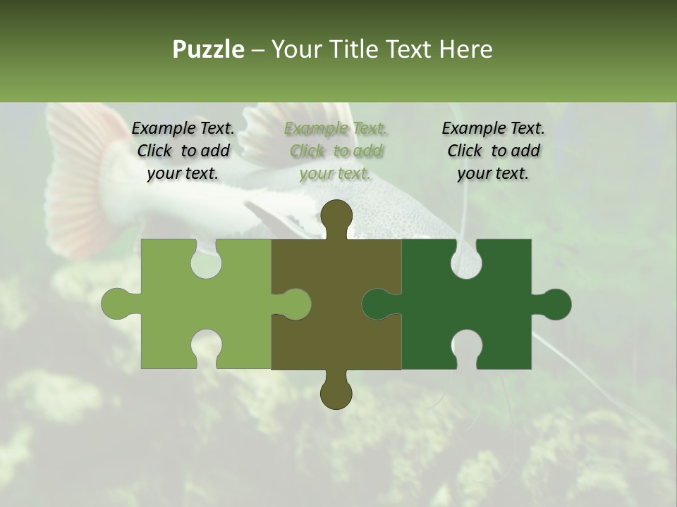 Phractocephalus Sheatfish Red PowerPoint Template