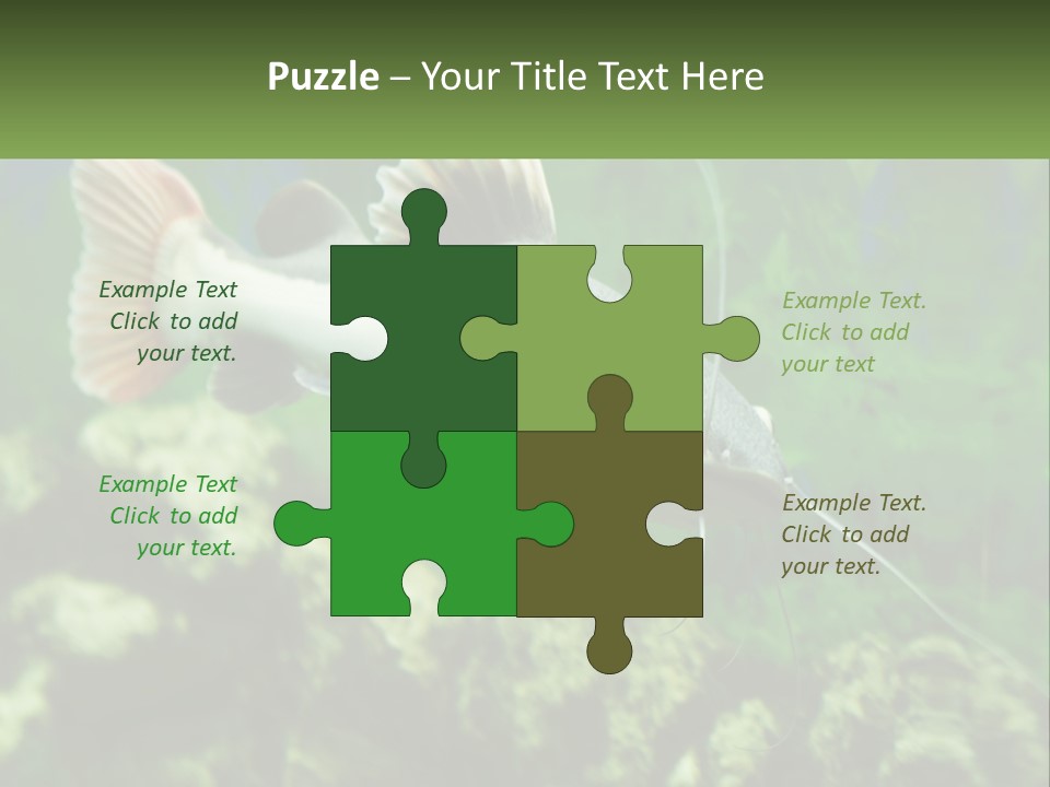 Phractocephalus Sheatfish Red PowerPoint Template