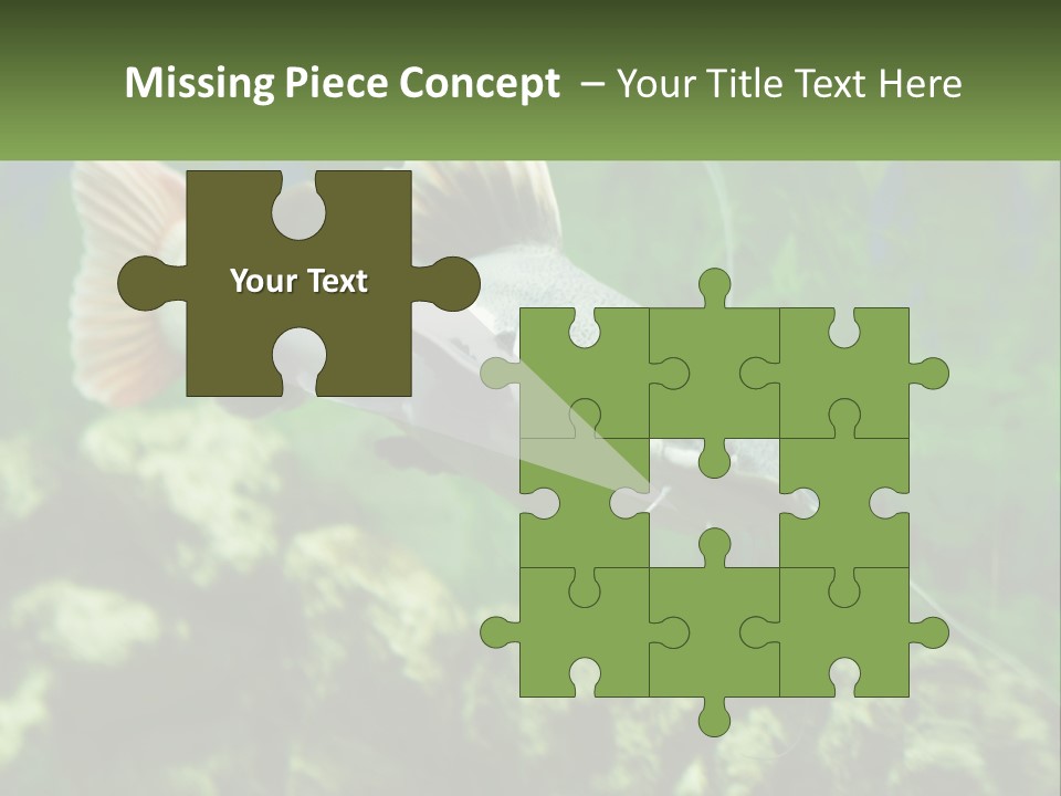 Phractocephalus Sheatfish Red PowerPoint Template