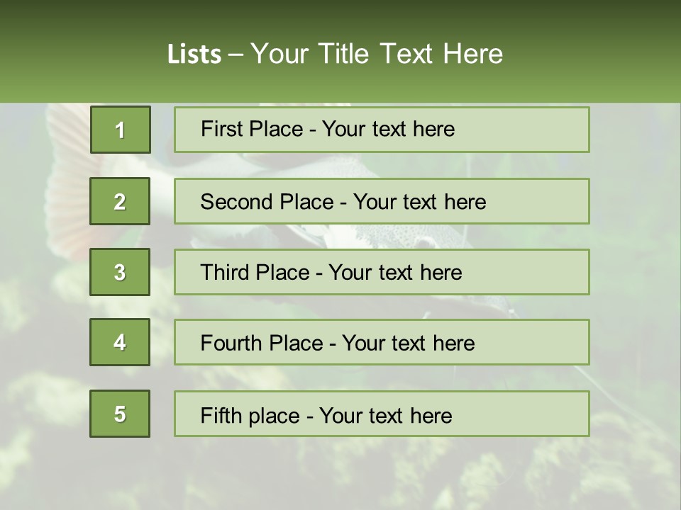 Phractocephalus Sheatfish Red PowerPoint Template