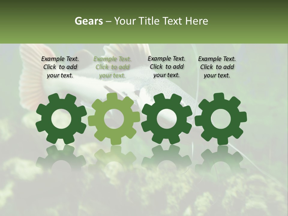 Phractocephalus Sheatfish Red PowerPoint Template