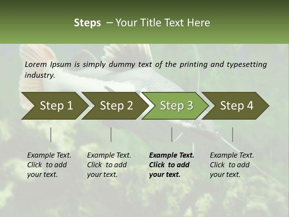 Phractocephalus Sheatfish Red PowerPoint Template