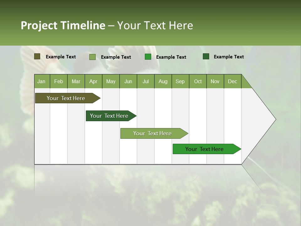 Phractocephalus Sheatfish Red PowerPoint Template