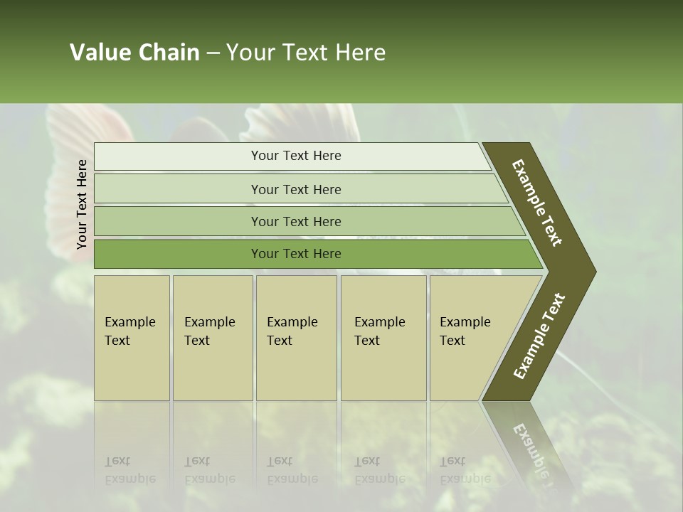 Phractocephalus Sheatfish Red PowerPoint Template