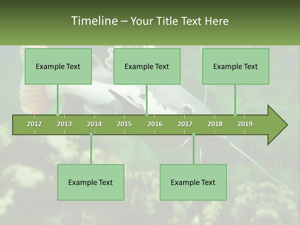 Phractocephalus Sheatfish Red PowerPoint Template