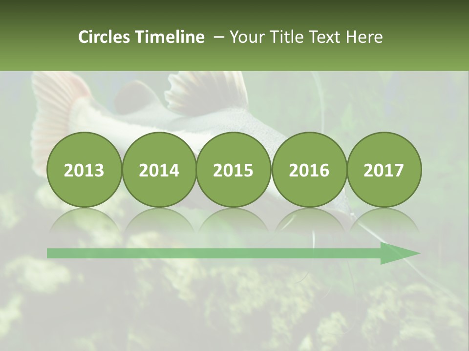 Phractocephalus Sheatfish Red PowerPoint Template