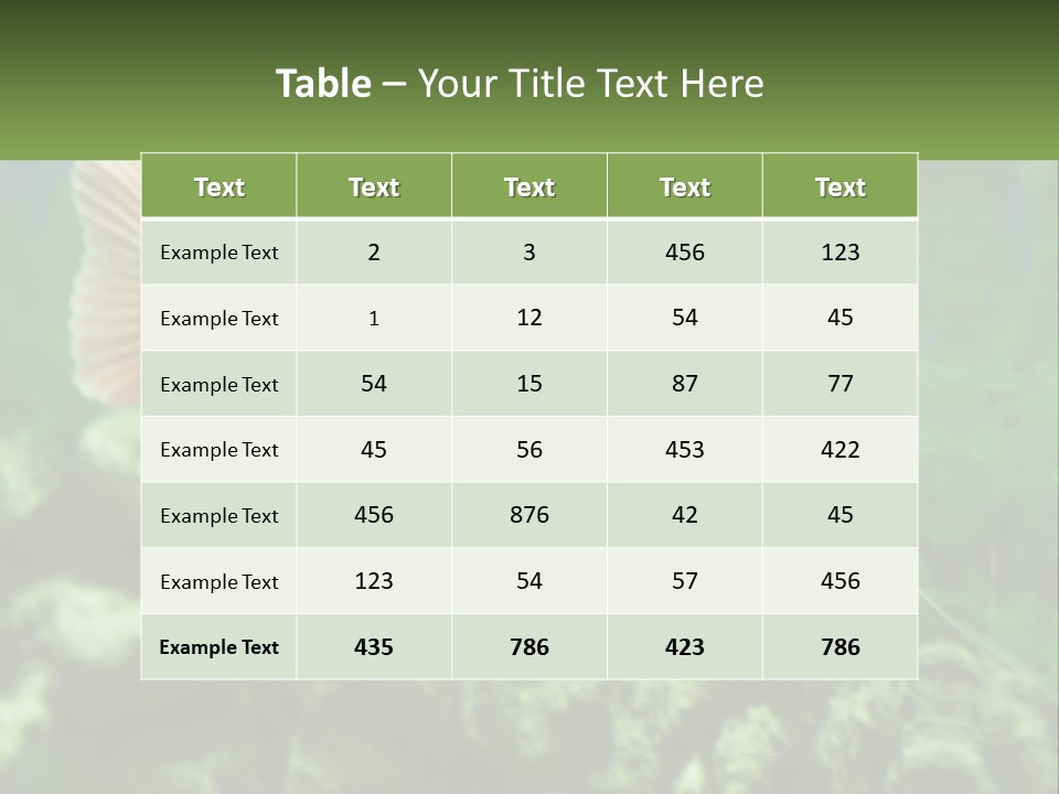Phractocephalus Sheatfish Red PowerPoint Template