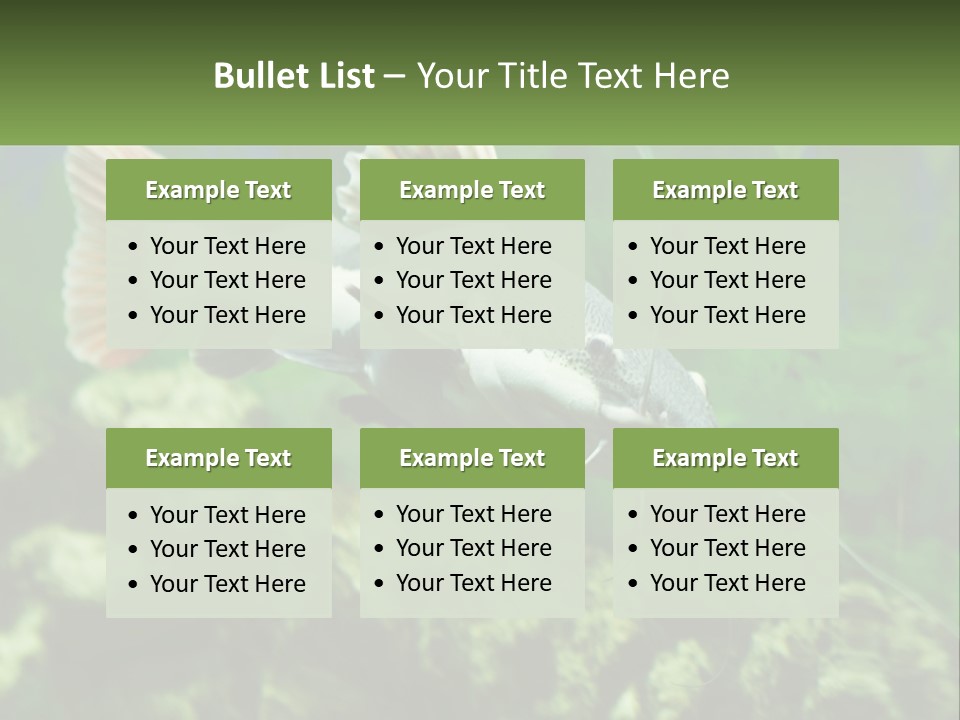 Phractocephalus Sheatfish Red PowerPoint Template