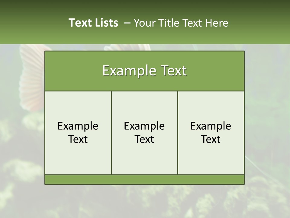 Phractocephalus Sheatfish Red PowerPoint Template