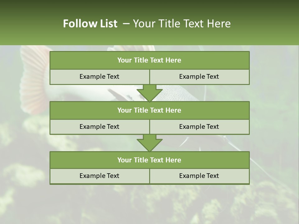 Phractocephalus Sheatfish Red PowerPoint Template