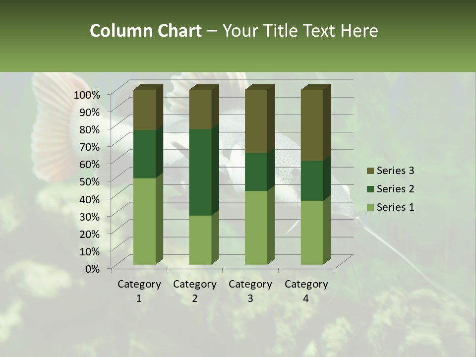 Phractocephalus Sheatfish Red PowerPoint Template