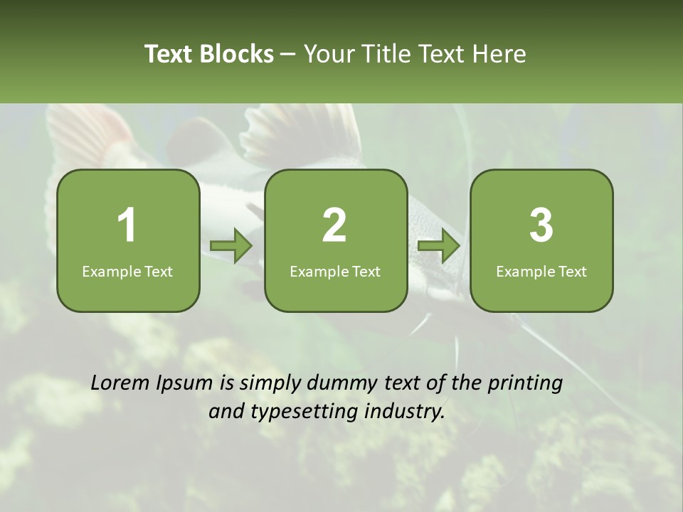 Phractocephalus Sheatfish Red PowerPoint Template