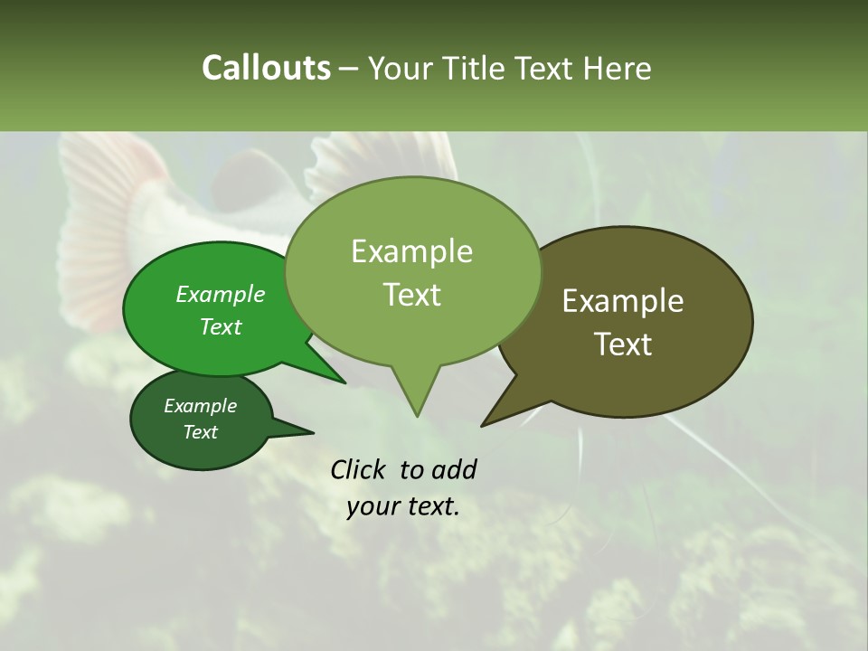 Phractocephalus Sheatfish Red PowerPoint Template