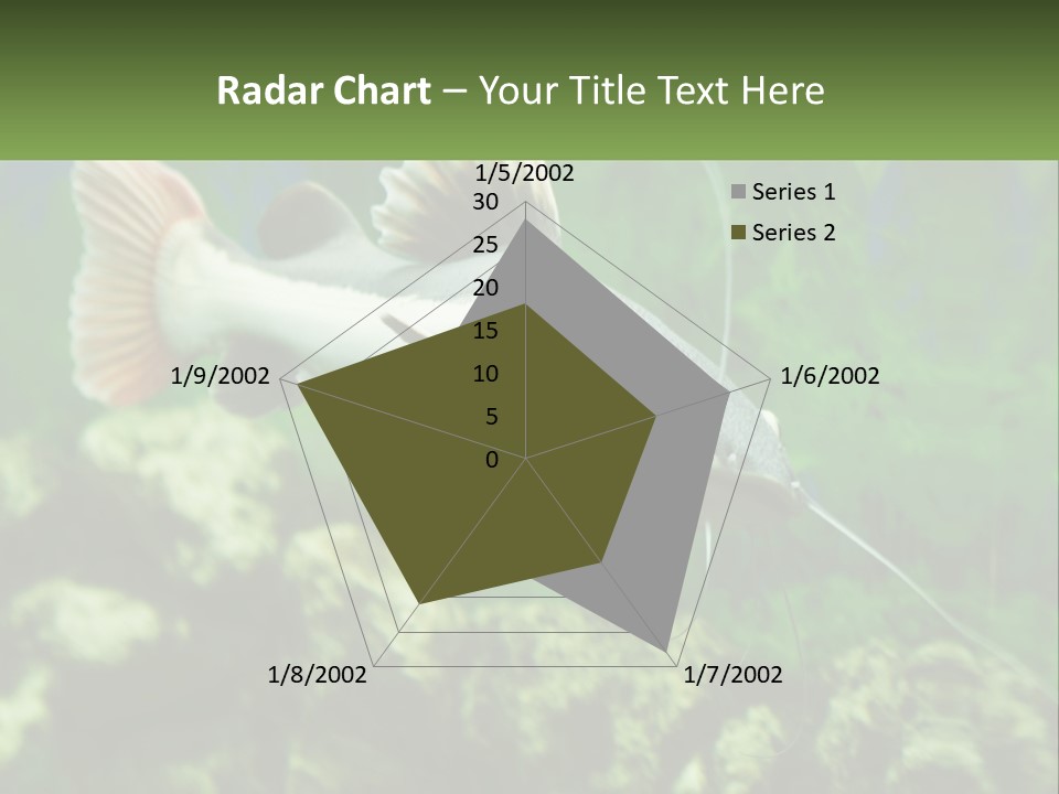 Phractocephalus Sheatfish Red PowerPoint Template