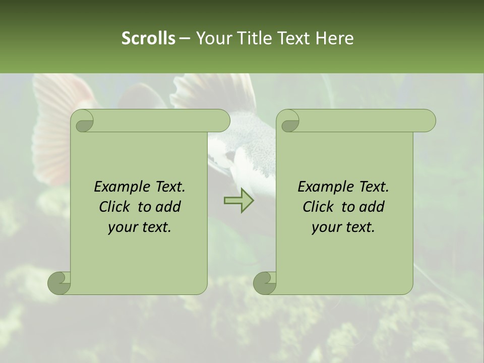 Phractocephalus Sheatfish Red PowerPoint Template