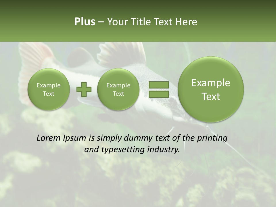 Phractocephalus Sheatfish Red PowerPoint Template