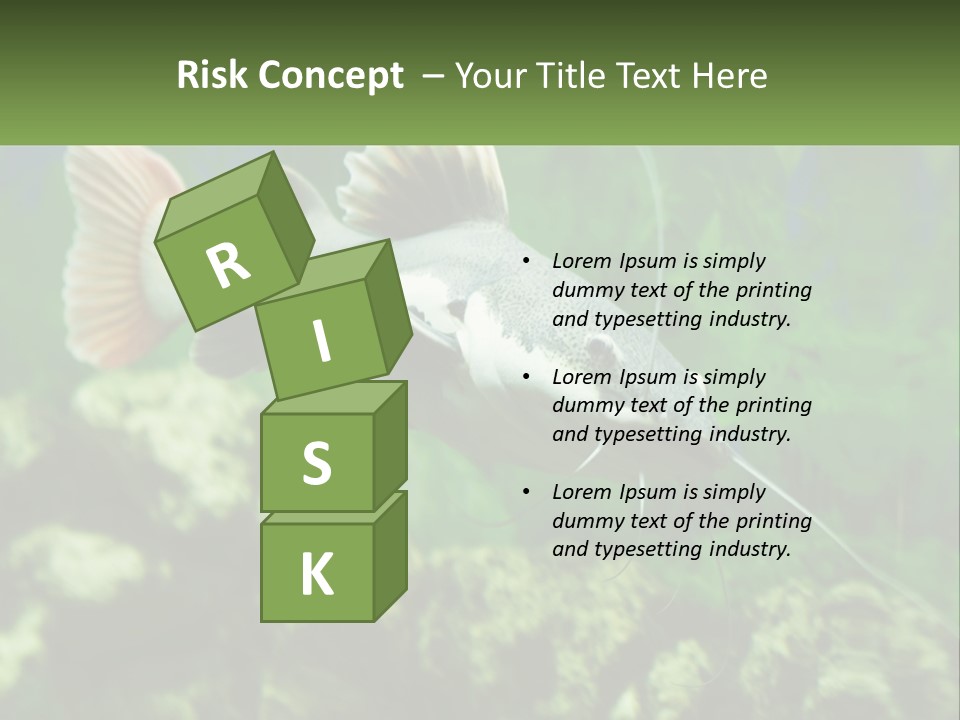 Phractocephalus Sheatfish Red PowerPoint Template