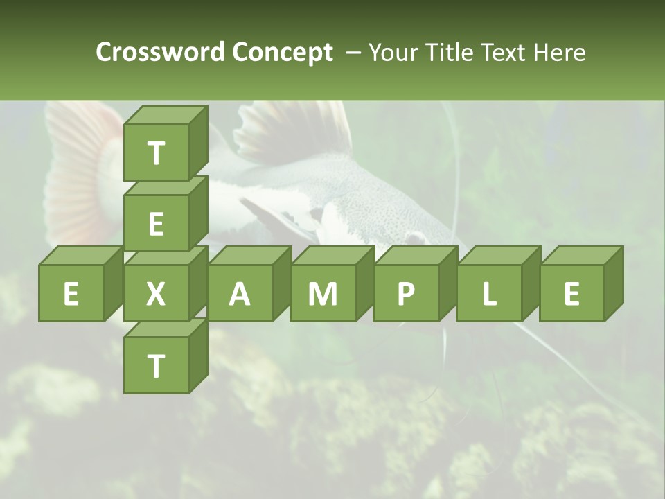 Phractocephalus Sheatfish Red PowerPoint Template