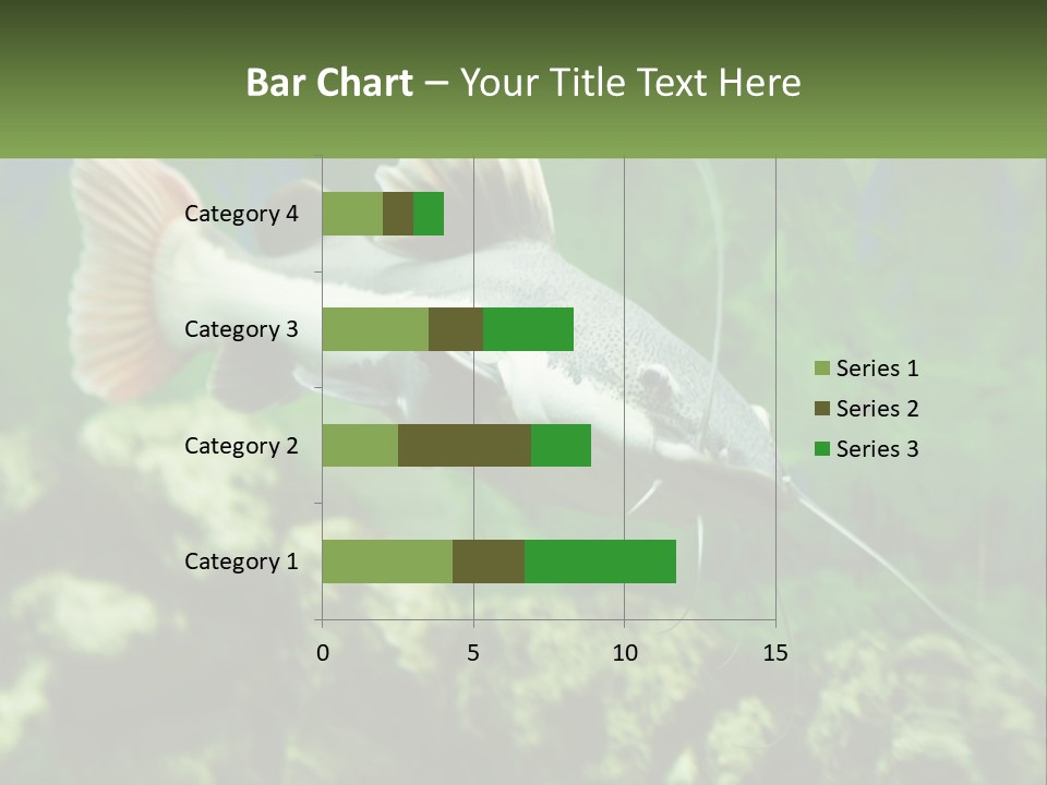 Phractocephalus Sheatfish Red PowerPoint Template