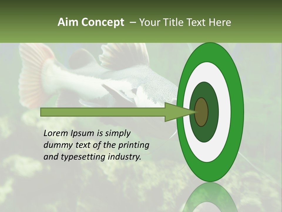 Phractocephalus Sheatfish Red PowerPoint Template