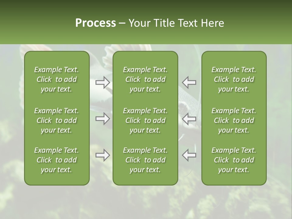 Phractocephalus Sheatfish Red PowerPoint Template