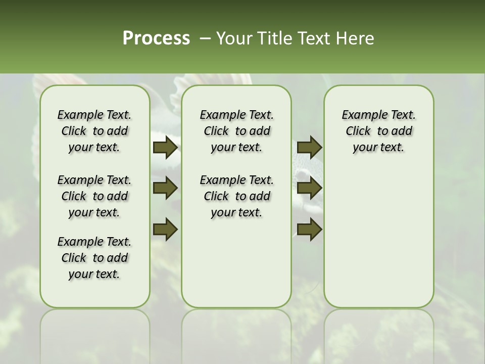 Phractocephalus Sheatfish Red PowerPoint Template