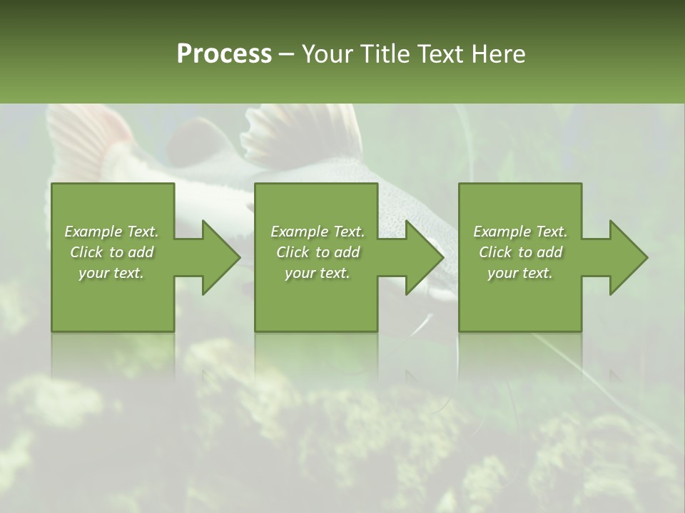 Phractocephalus Sheatfish Red PowerPoint Template