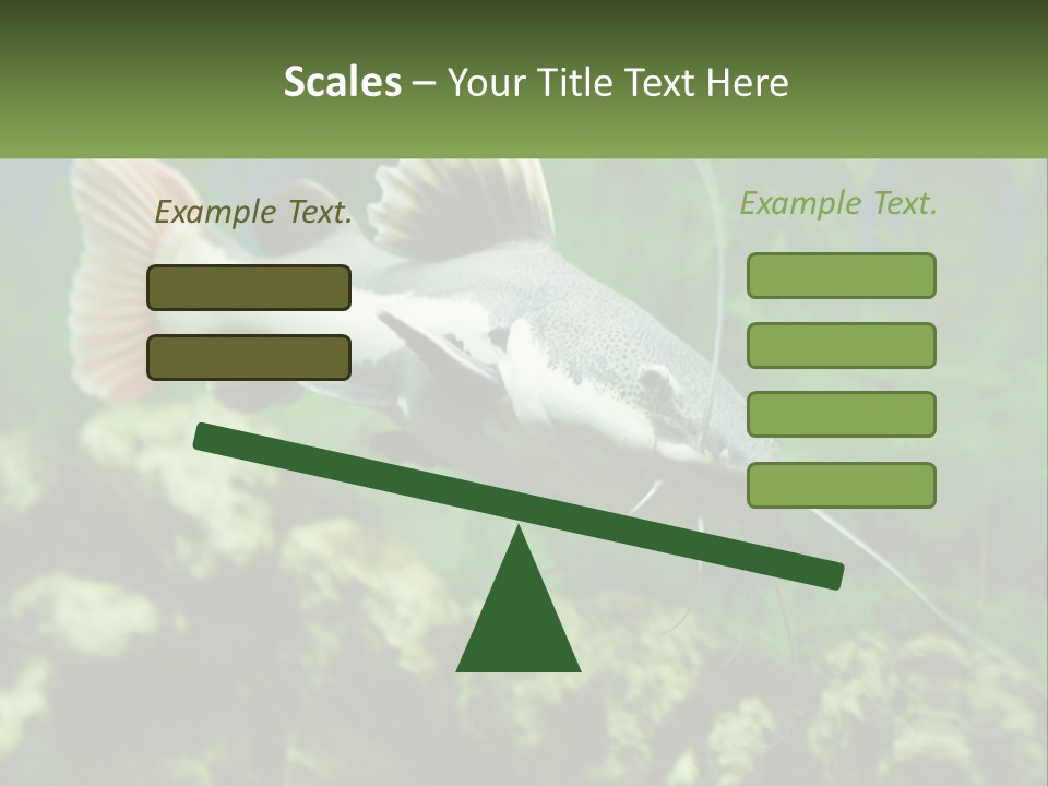 Phractocephalus Sheatfish Red PowerPoint Template