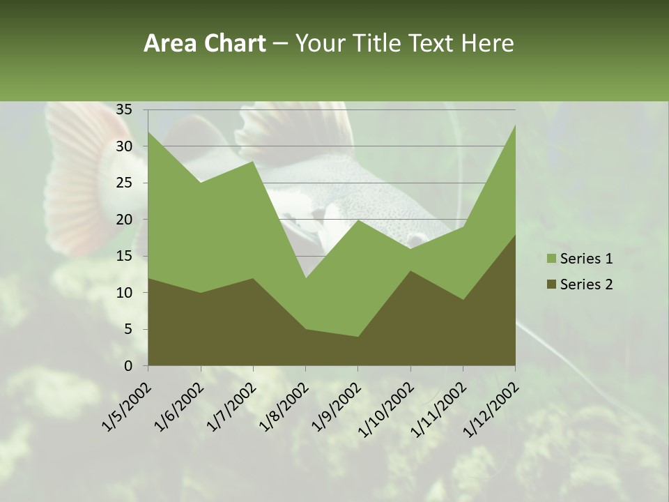 Phractocephalus Sheatfish Red PowerPoint Template