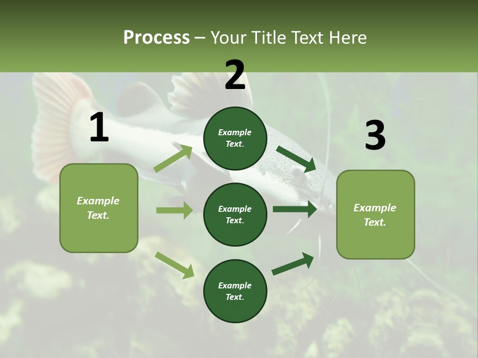 Phractocephalus Sheatfish Red PowerPoint Template