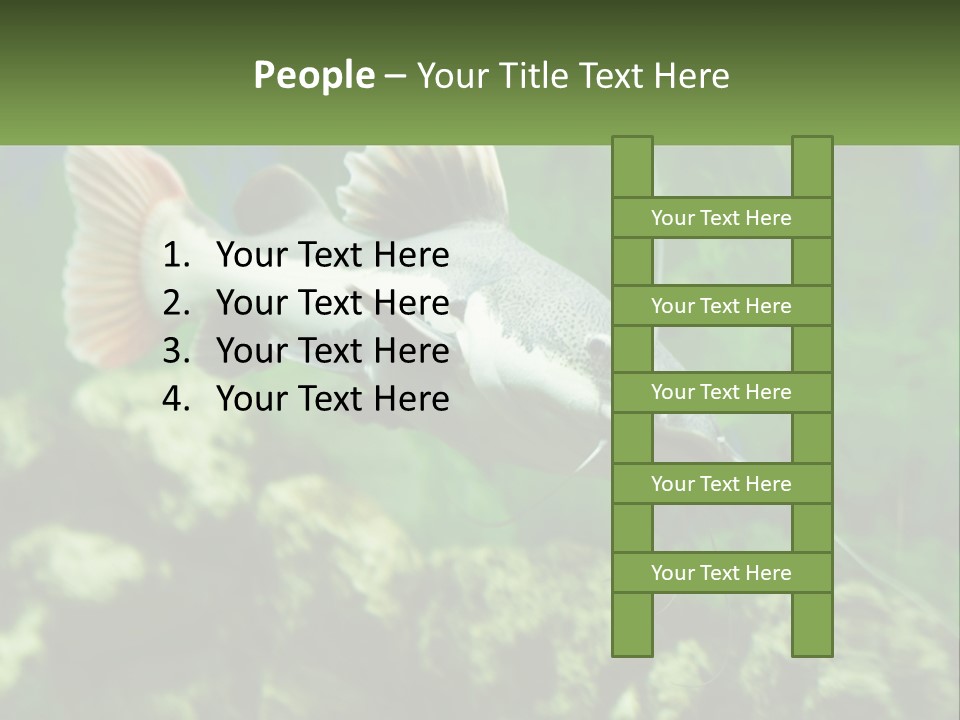 Phractocephalus Sheatfish Red PowerPoint Template