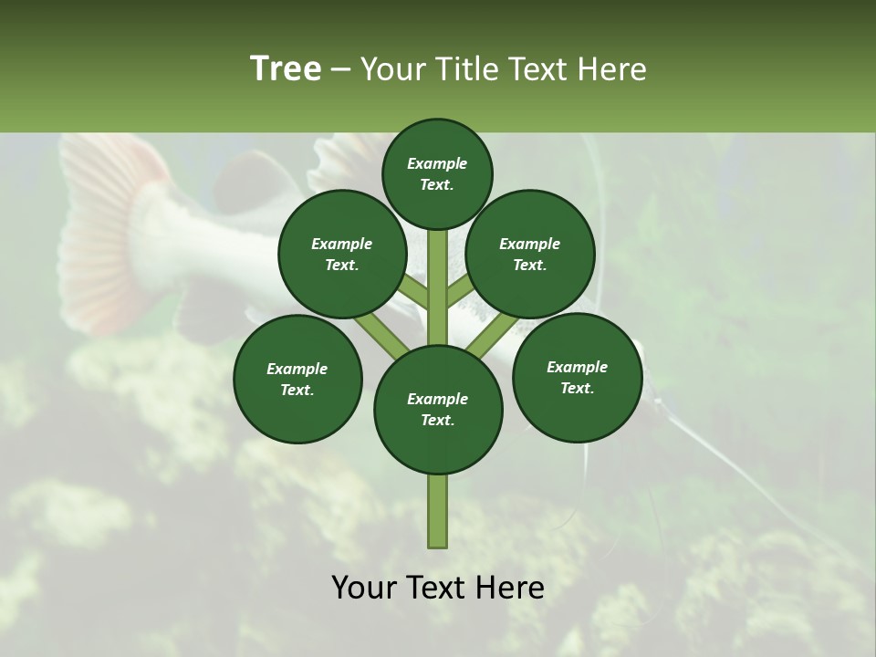 Phractocephalus Sheatfish Red PowerPoint Template