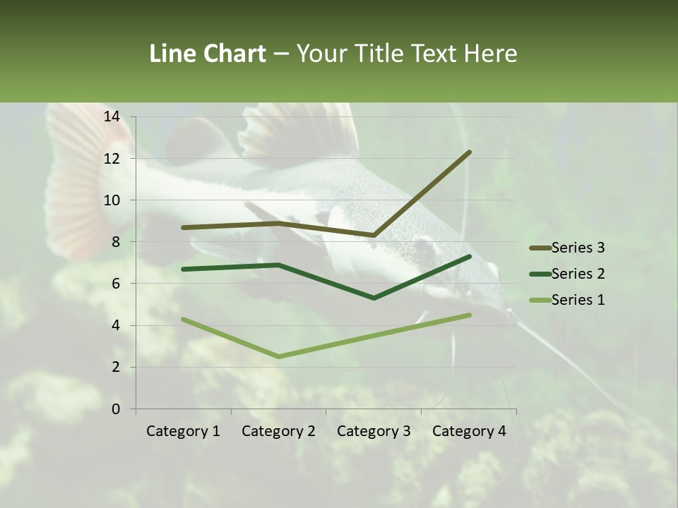 Phractocephalus Sheatfish Red PowerPoint Template