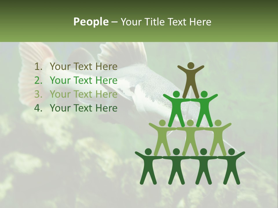 Phractocephalus Sheatfish Red PowerPoint Template