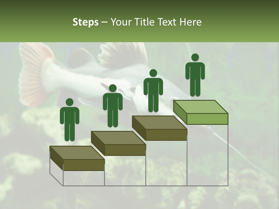 Phractocephalus Sheatfish Red PowerPoint Template