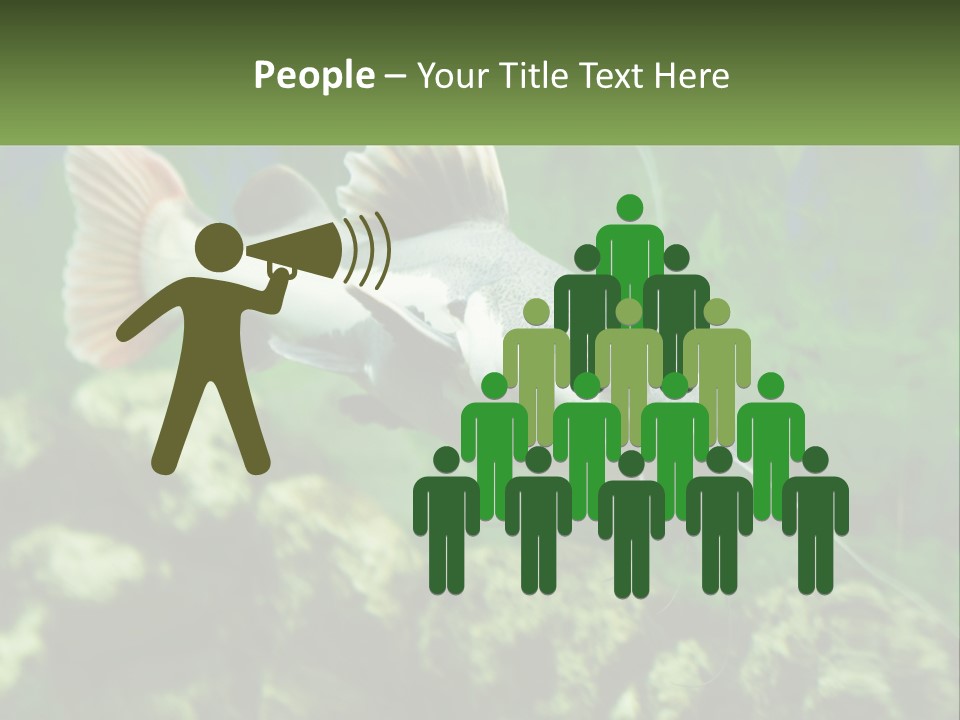 Phractocephalus Sheatfish Red PowerPoint Template